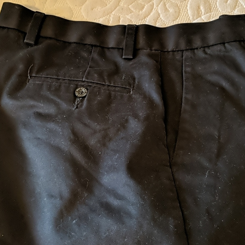 Dress pant